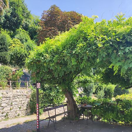 Villa Antonella, App. Vittoria Tavernerio Extérieur photo