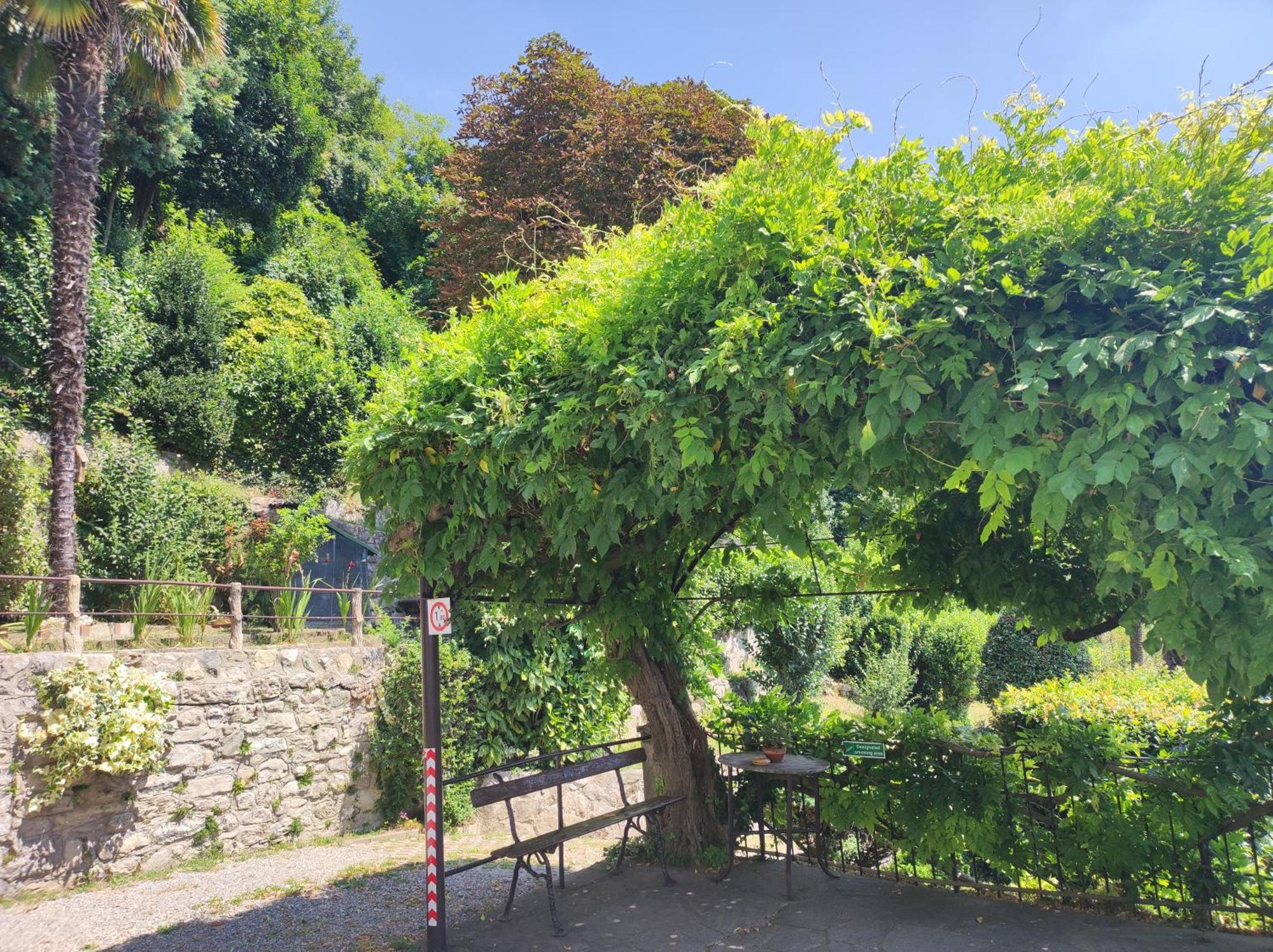 Villa Antonella, App. Vittoria Tavernerio Extérieur photo